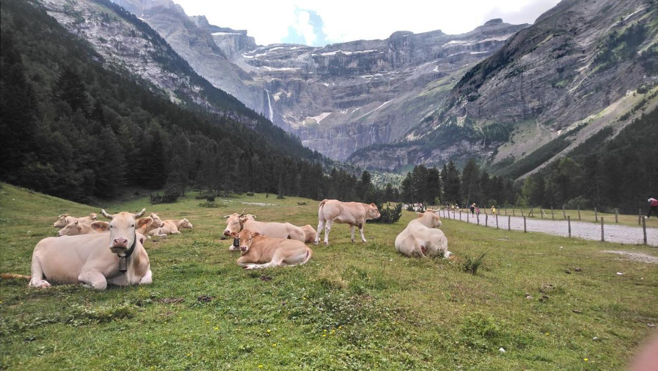 Studio En Pleine Montagne Avec Vue Sur Marmottes La Mongie Zewnętrze zdjęcie
