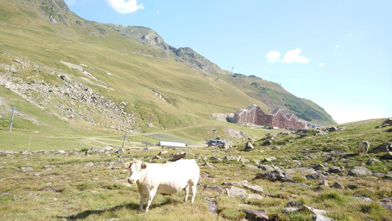 Studio En Pleine Montagne Avec Vue Sur Marmottes La Mongie Zewnętrze zdjęcie