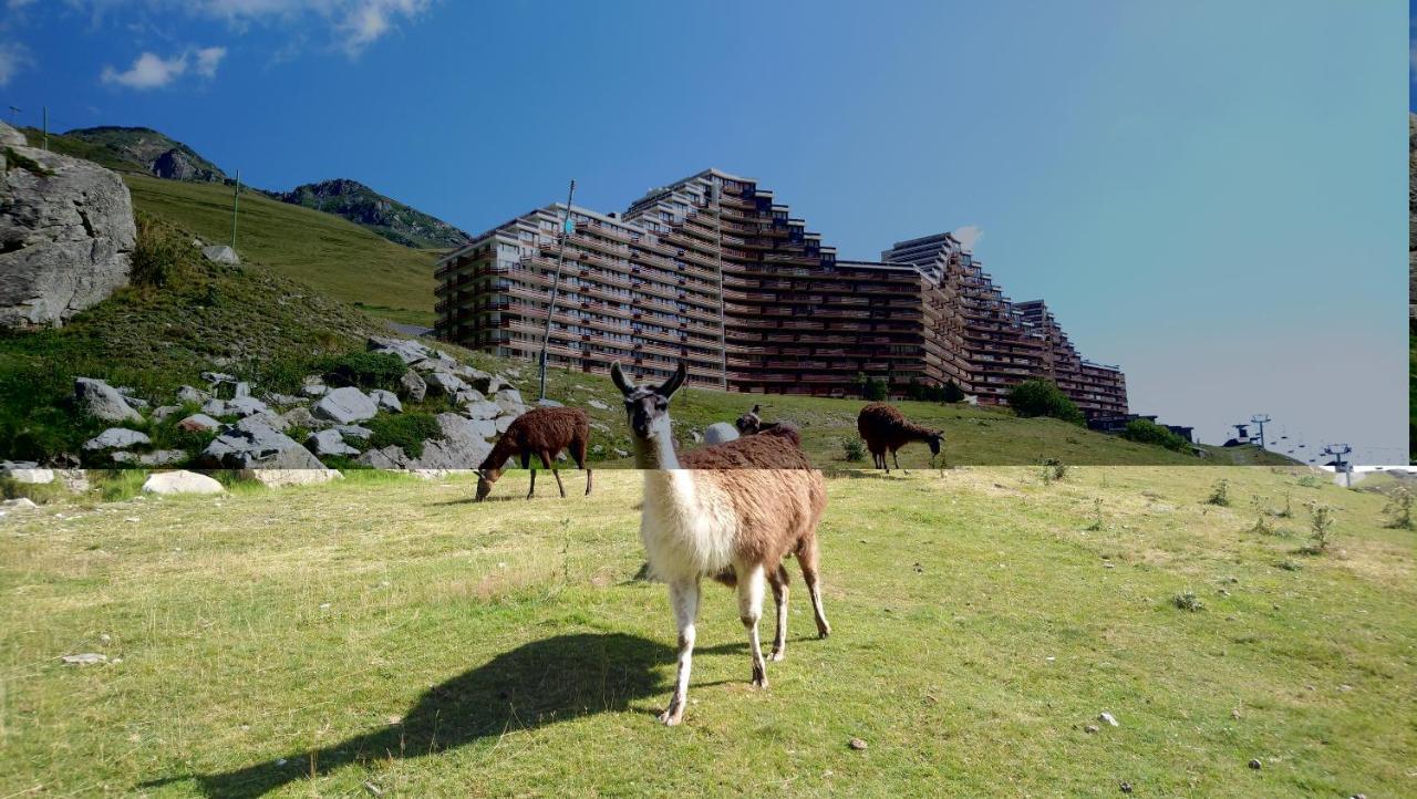 Studio En Pleine Montagne Avec Vue Sur Marmottes La Mongie Zewnętrze zdjęcie